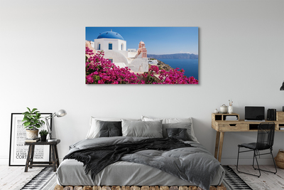 Foto op canvas Griekenland bloemen zee gebouwen