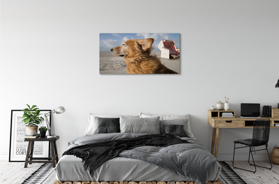 Schilderij op canvas Bruin hond strand