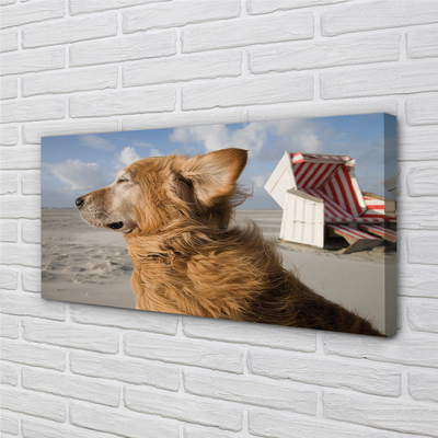 Schilderij op canvas Bruin hond strand