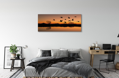 Foto op canvas Vliegende vogels zonsondergang