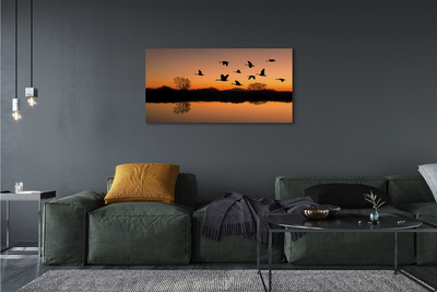 Foto op canvas Vliegende vogels zonsondergang