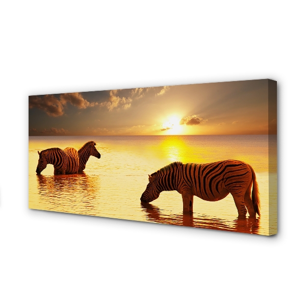 Schilderij op canvas Zebra water sunset