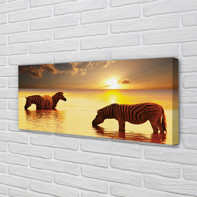 Schilderij op canvas Zebra water sunset