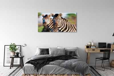 Schilderij op canvas Zebra
