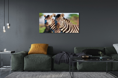 Schilderij op canvas Zebra