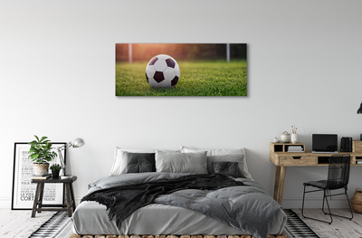 Canvas doek foto Bal gras doel