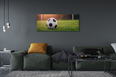 Canvas doek foto Bal gras doel