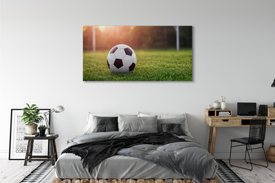 Canvas doek foto Bal gras doel