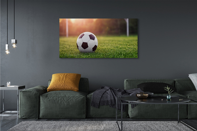 Canvas doek foto Bal gras doel