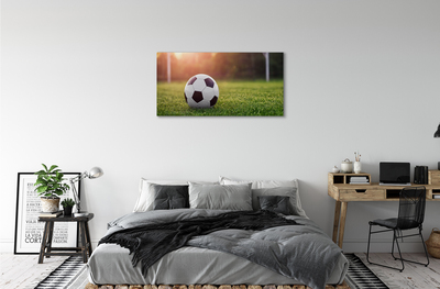 Canvas doek foto Bal gras doel