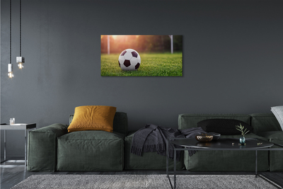 Canvas doek foto Bal gras doel