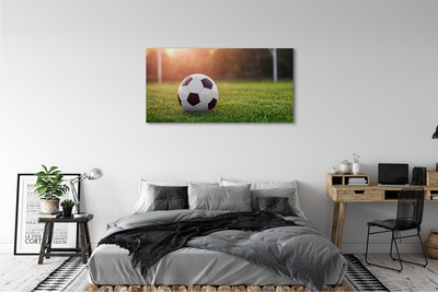 Canvas doek foto Bal gras doel