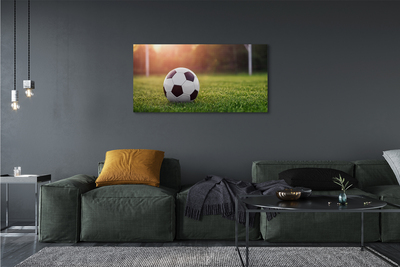 Canvas doek foto Bal gras doel