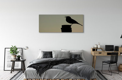 Foto op canvas Zwarte vogel