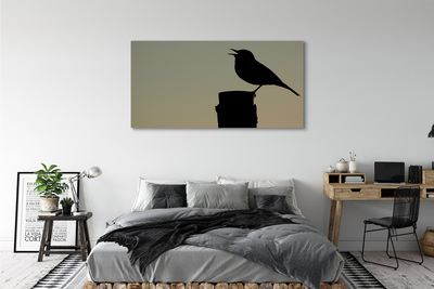 Foto op canvas Zwarte vogel