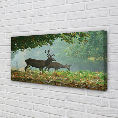 Foto op canvas Herten bos herfst
