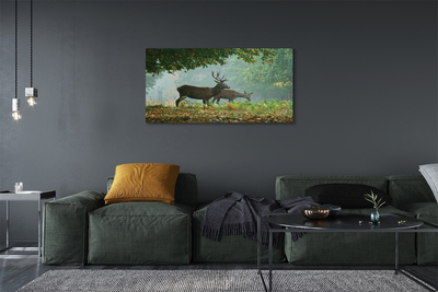 Foto op canvas Herten bos herfst
