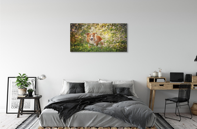 Schilderij op canvas Hondenbosbloemen