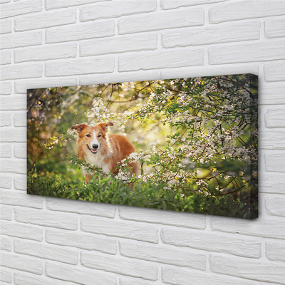 Schilderij op canvas Hondenbosbloemen