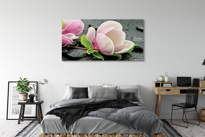 Schilderij canvas Magnolia stenen