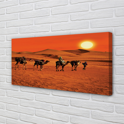 Schilderijen op canvas doek Kamelen mensen woestijn zon lucht