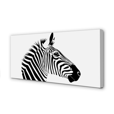 Schilderij op canvas Zebra illustratie