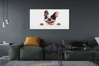 Schilderij op canvas Hond