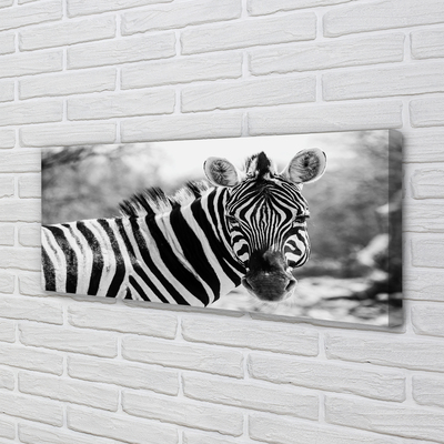 Schilderij op canvas Retro zebra