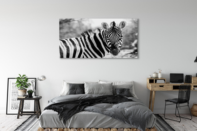 Schilderij op canvas Retro zebra