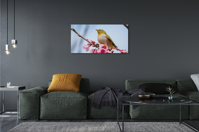 Foto op canvas Vogel op de tak