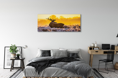 Foto op canvas Herten winter zonsopgang