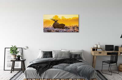 Foto op canvas Herten winter zonsopgang