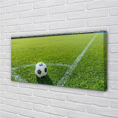 Canvas doek foto Stadion-balgras