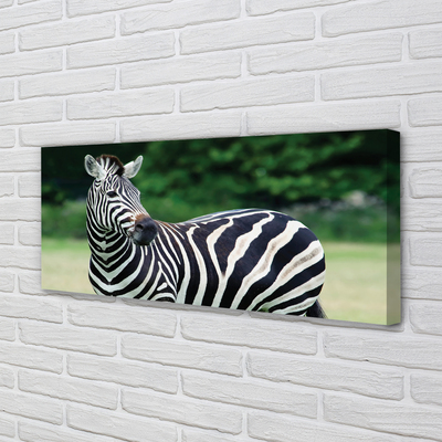 Schilderij op canvas Zebra-veld