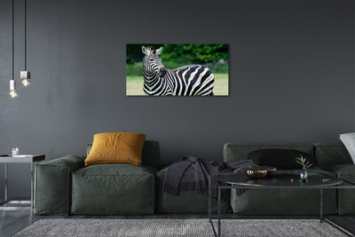 Schilderij op canvas Zebra-veld