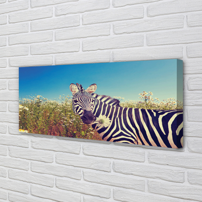 Schilderij op canvas Zebra bloemen