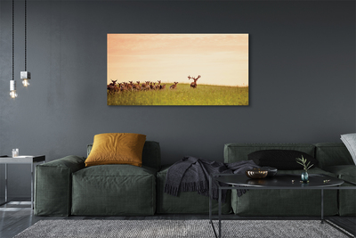 Foto op canvas Een kudde van hertenveld zonsopgang