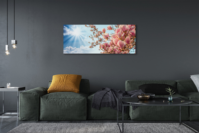 Schilderij canvas Magnolia sky sun