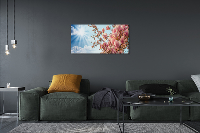 Schilderij canvas Magnolia sky sun