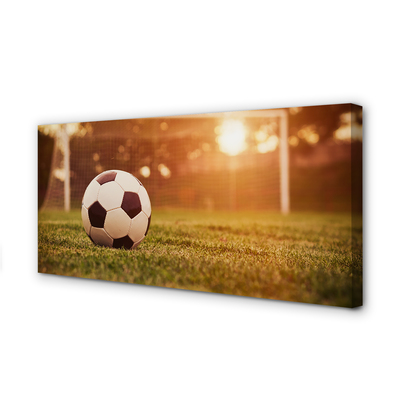 Canvas doek foto Sun ball doel