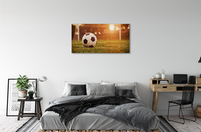 Canvas doek foto Sun ball doel