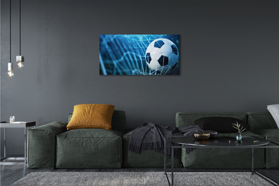 Canvas doek foto Blauwe baldoelbal