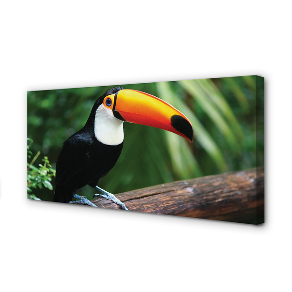 Foto op canvas Toucan op de tak