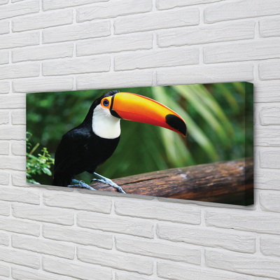 Foto op canvas Toucan op de tak