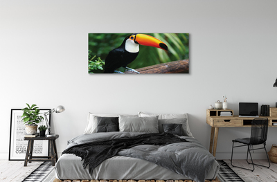 Foto op canvas Toucan op de tak