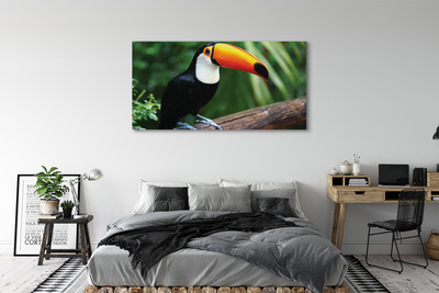 Foto op canvas Toucan op de tak