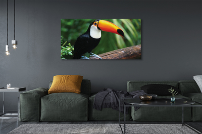 Foto op canvas Toucan op de tak