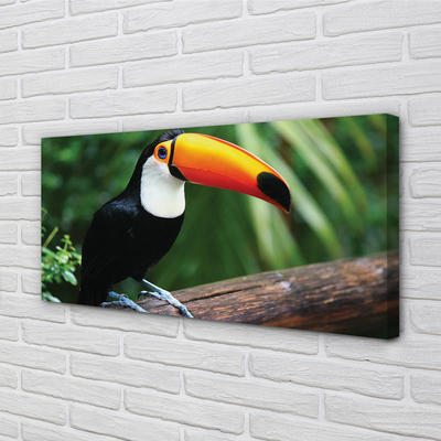 Foto op canvas Toucan op de tak