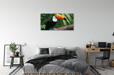 Foto op canvas Toucan op de tak