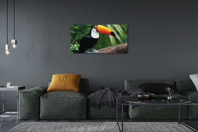 Foto op canvas Toucan op de tak